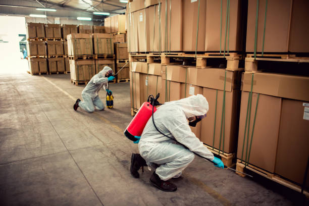 Flea Control Services in South Whittier, CA
