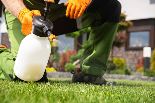 Best Pest Prevention Services  in South Whittier, CA