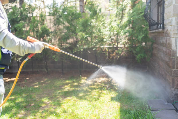 Best Wasp Removal Services  in South Whittier, CA