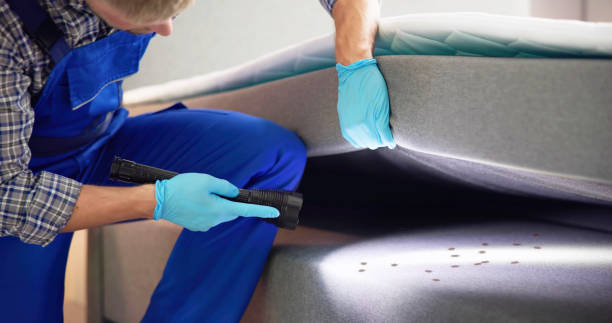 Best Bed Bug Extermination  in South Whittier, CA