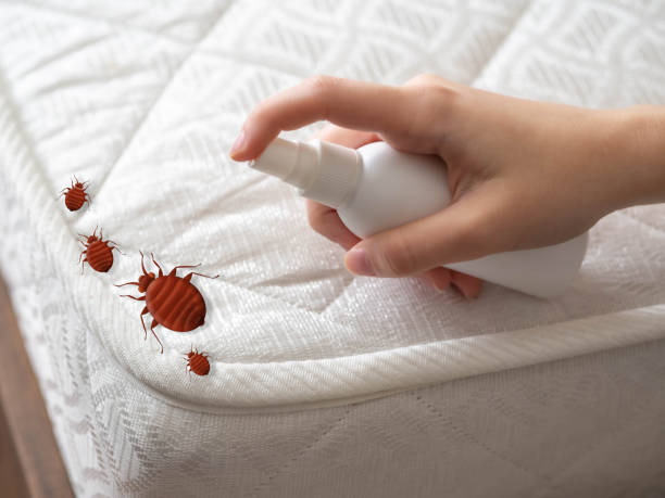 Best Emergency Pest Control  in South Whittier, CA