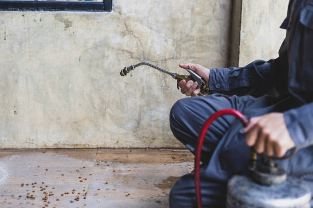 Best Termite Control Services  in South Whittier, CA