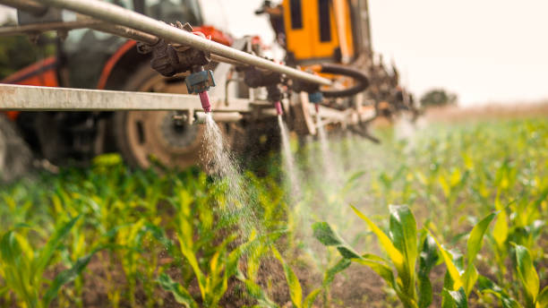 Best Mosquito Control Services  in South Whittier, CA